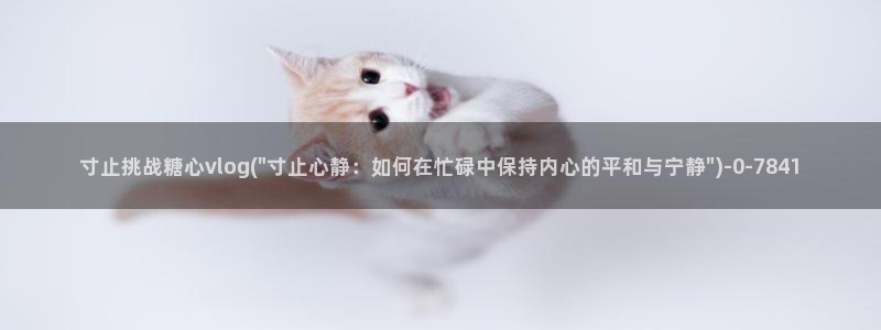 糖心vlog黄：寸止挑战糖心vlog(\