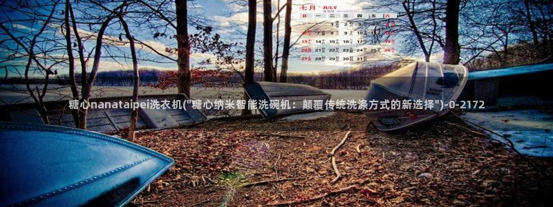 9.1糖心vlog：糖心nanataipei洗衣机(\