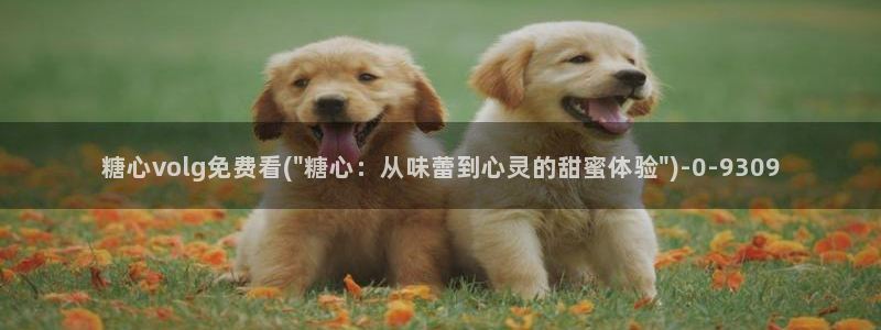 糖心vlog怎么加入：糖心volg免费看(\