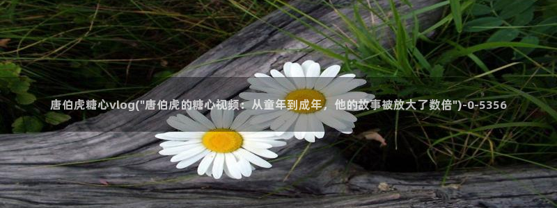 糖心vlog唐伯虎网站