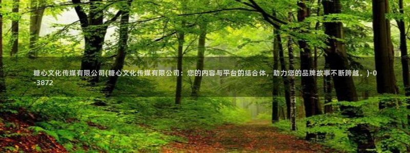 糖心vlog 网页版下载安装：糖心文化传媒有限公司(糖心
