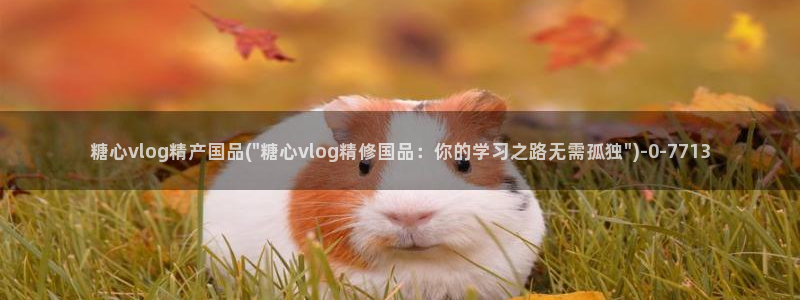 糖心vlog0：糖心vlog精产国品(\