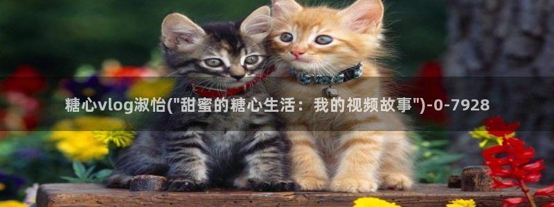 糖心vlog小桃内射：糖心vlog淑怡(\