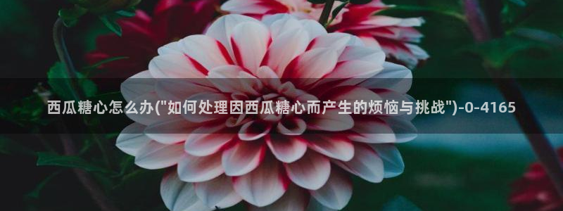 糖心vlog精产国品免费老版：西瓜糖心怎么办(\