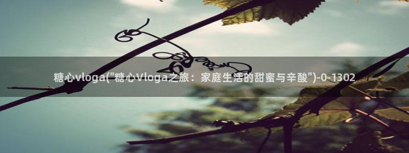 糖心传媒vlog：糖心vloga(\