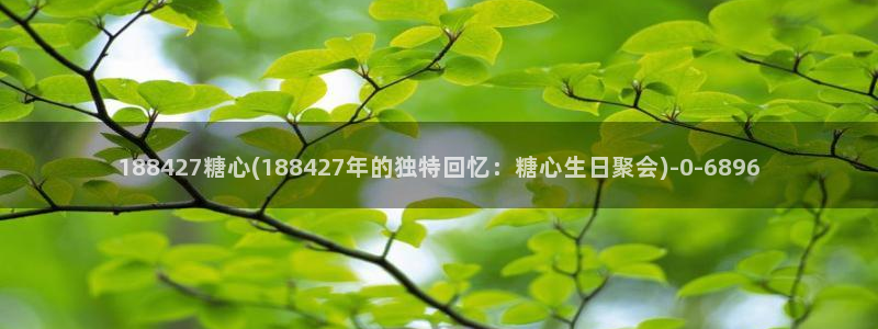 糖心vlog有破解版吗